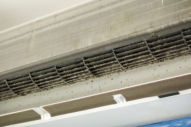 Reliable Neosho, MO Airduct Cleaning Solutions